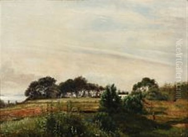 Landscape - view 1