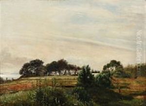 Landscape Landscape