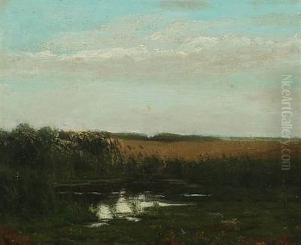 Landscape From A Bog Near Ry - view 1