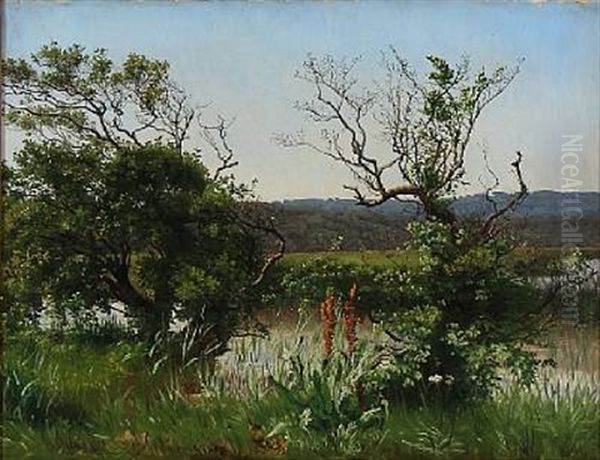 Landscape From Ry, Denmark - view 1