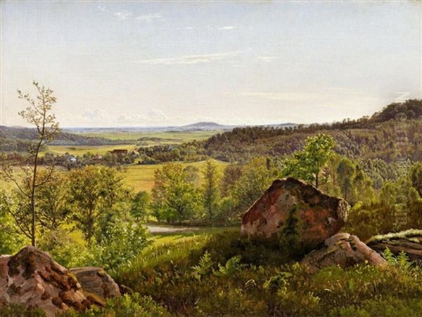 Schwedische Sommerlandschaft In Halland - view 1