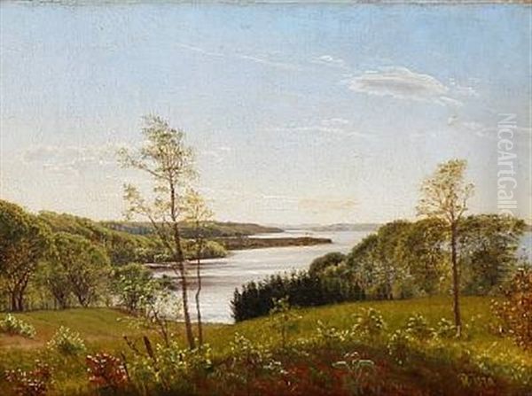 Summer Landscape From Jylland With A View Of Lakes And Wooded Hills - view 1