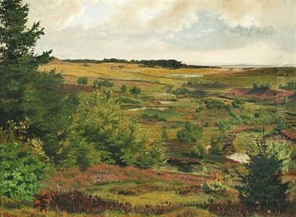 View Of Overod Marsh - view 1