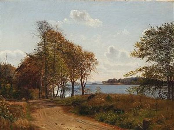 Summer Day At Issefjord, Denmark - view 1