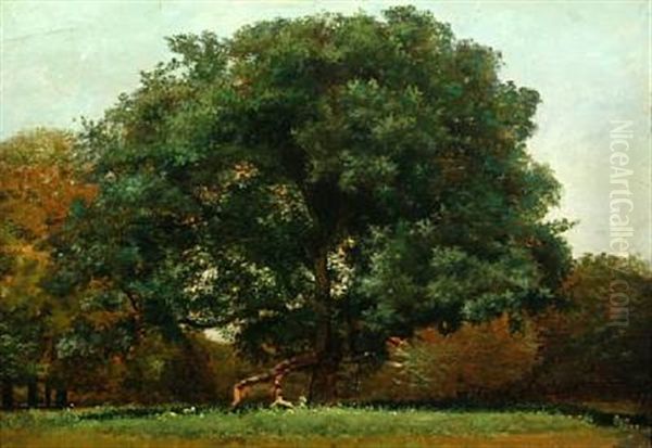 Landscape With Tree In The Front - view 1