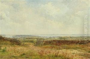 Summer Landscape Summer Landscape