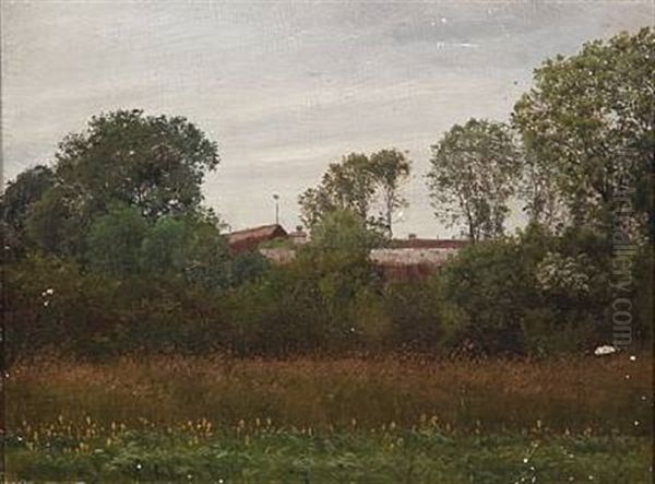 Field Landscape With Houses In The Background - view 1