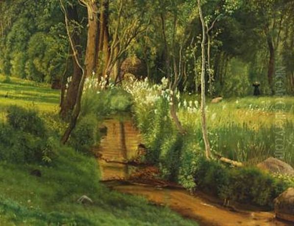Junidag. Vads Molle I Naerheden Af Aakjaer - view 1