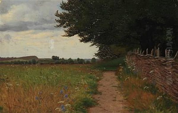 Summer Landscape - view 1