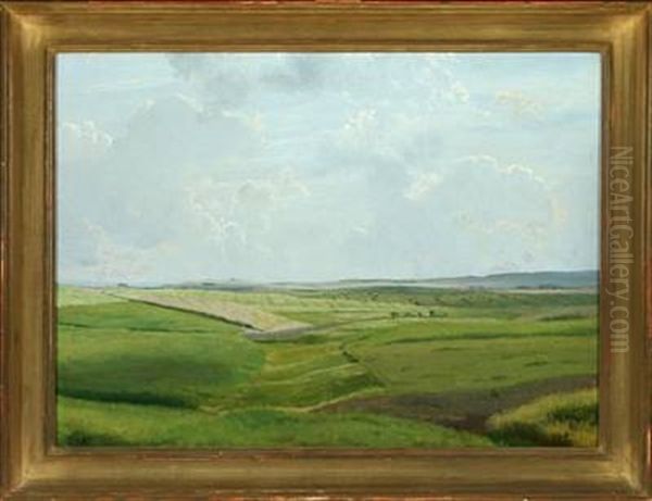 Aabent Landskab, Juni - view 1