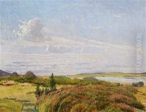 Lynglandskab