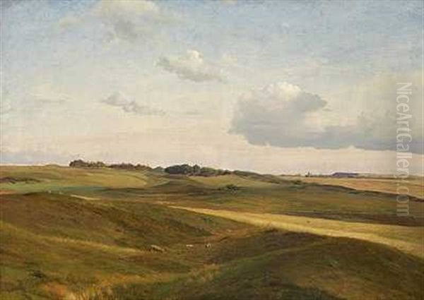 Sommereftermiddag. Emnet Taget I Naerheden Af Rorvig - view 1