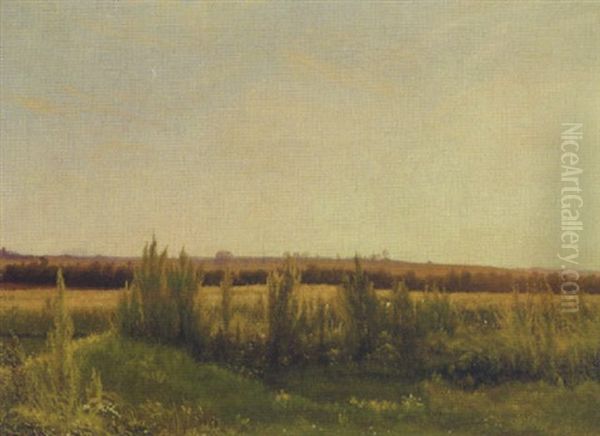 Marklandskab, Sommer - view 1