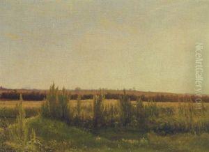 Marklandskab, Sommer