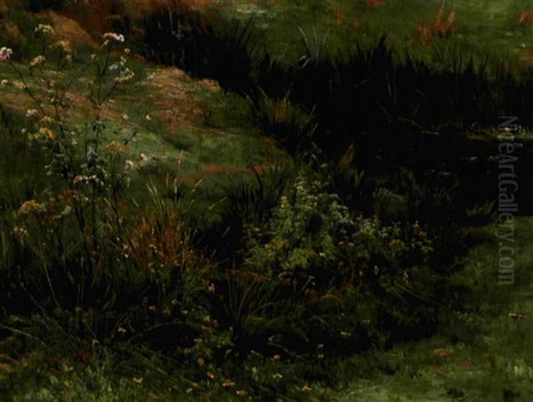 Blomstrende Vilde Roser Ved Et Vandlob - view 1