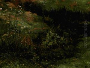Blomstrende Vilde Roser Ved Et Vandlob Blomstrende Vilde Roser Ved Et Vandlob
