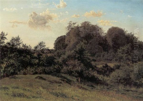 Landskab Ved Frederiksborg - view 1