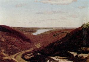 Hald So Med Viborg I Baggrunden Hald So Med Viborg I Baggrunden