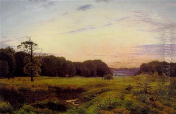 Aftenlandskab, Ordrup Mose - view 1