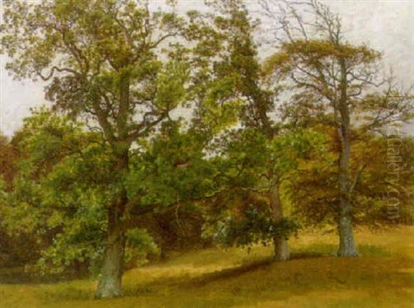 Skovparti - view 1