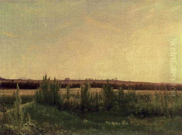 Landskap Fran Vester Bisholt - view 1