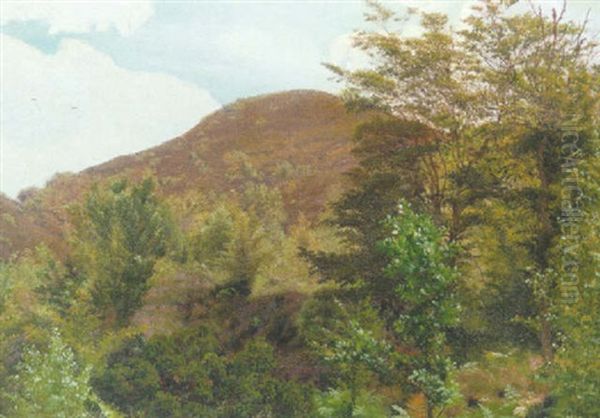 Parti Fra Himmelbjerget - view 1