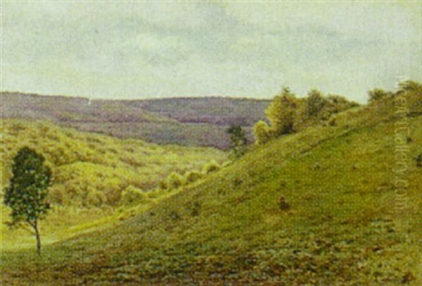 Kuperet Landskab - view 1