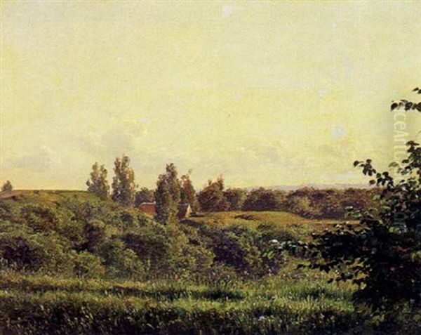 Dansk Landskab Med Hus I Bakkerne - view 1