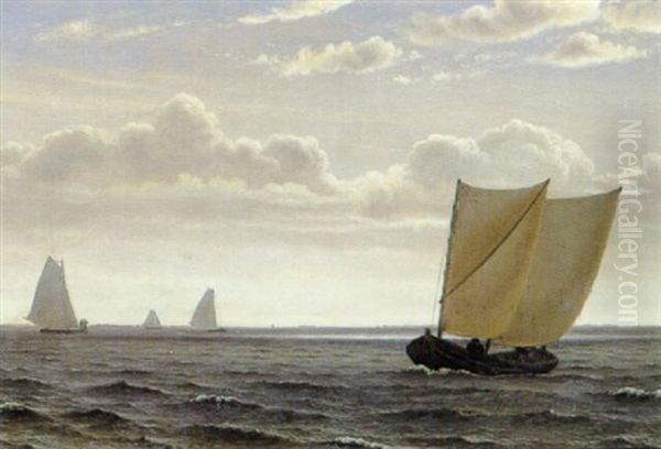 Marine Med Sejskibe Udfor Taarbaek - view 1