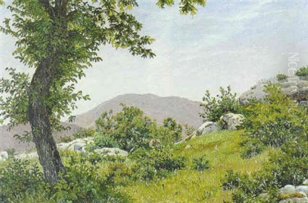 Landskab Fra Chambery - view 1