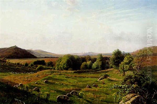 Aabent Landskab Fra Skanderborgegnen - view 1