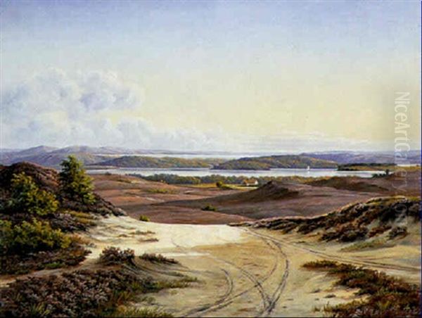 Udsigt Over Himmelbjergsoerne Ved Ry - view 1