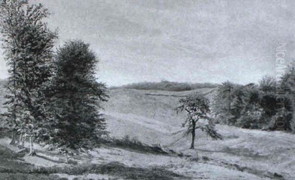 Sommarlandskab - view 1