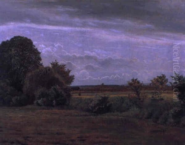 Sommerlandschaft In Bisholt - view 1