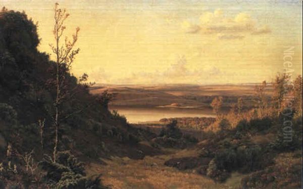 Parti Fra Himmelbjerget, Man Ser Over Mod Laven - view 1