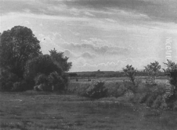 Sommertag. Blick Uber Bluhende Wiesen - view 1