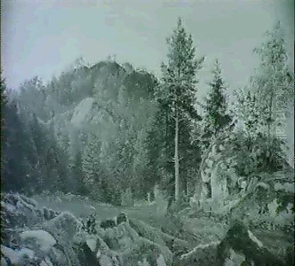 Klippeparti Med Traebevoksning - view 1
