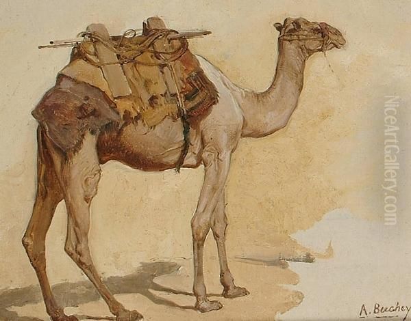 Study Of A Camel - view 1