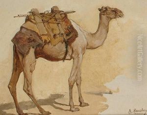 Study Of A Camel