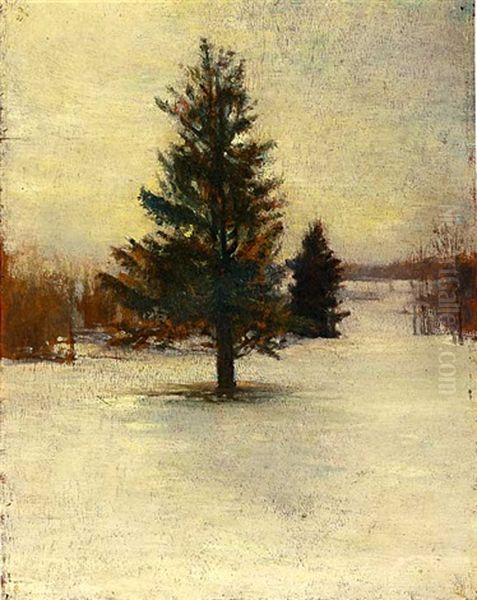 Snow. Sketch: Hillside With Cedars. Evening. - view 1