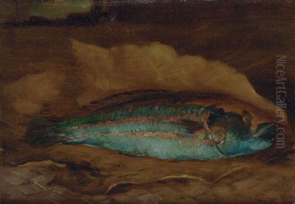 Parrot Fish - view 1