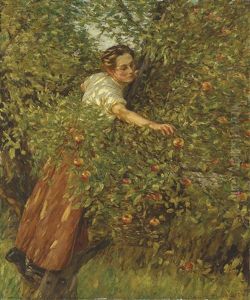 Sussex Apples Sussex Apples