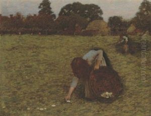 Dawn: Gathering Mushrooms