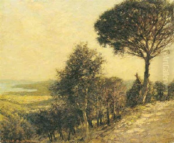 A Provencal Landscape, Bormes - view 1