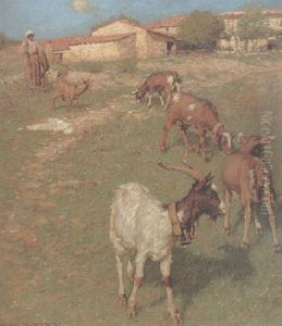 A Provencal Farm