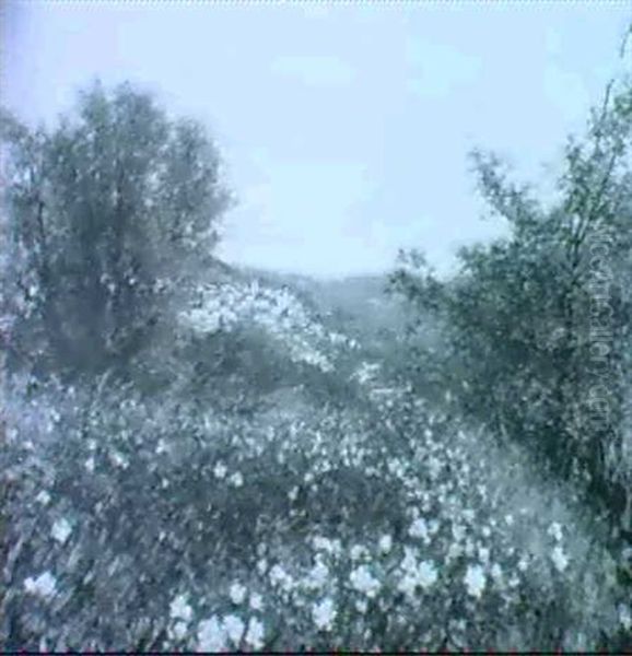 A Deserted Rose Garden In Provence - view 1