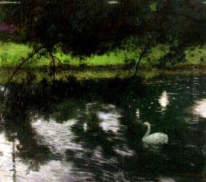 Lacs De Cygnes