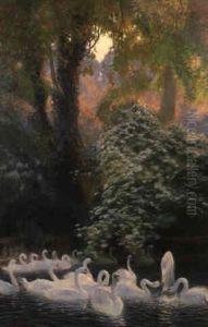 Les Cygnes Les Cygnes