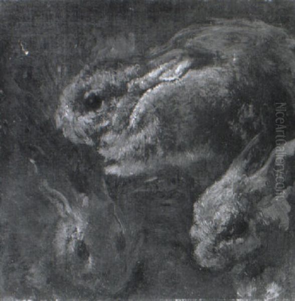 A Study Of Rabbits - view 1