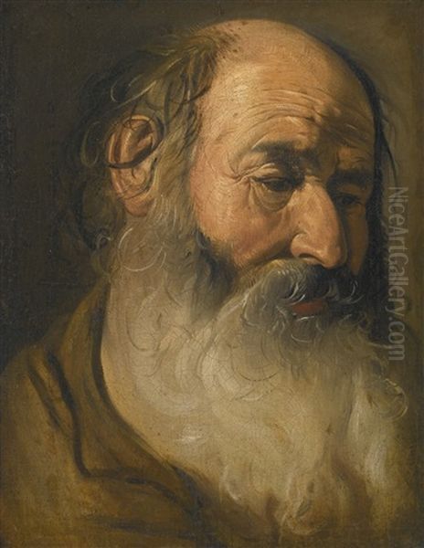 Head Of An Old Bearded Man - view 1
